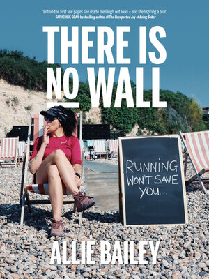 cover image of There is No Wall